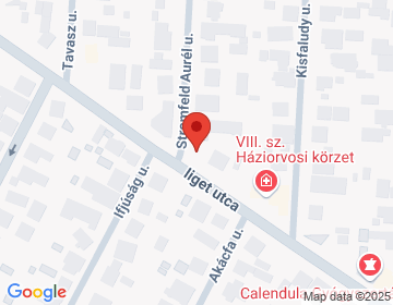2120 Dunakeszi Liget u. 40.