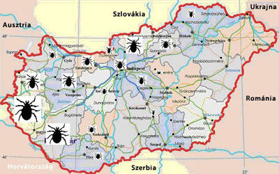 Kullancstérkép Magyarországról