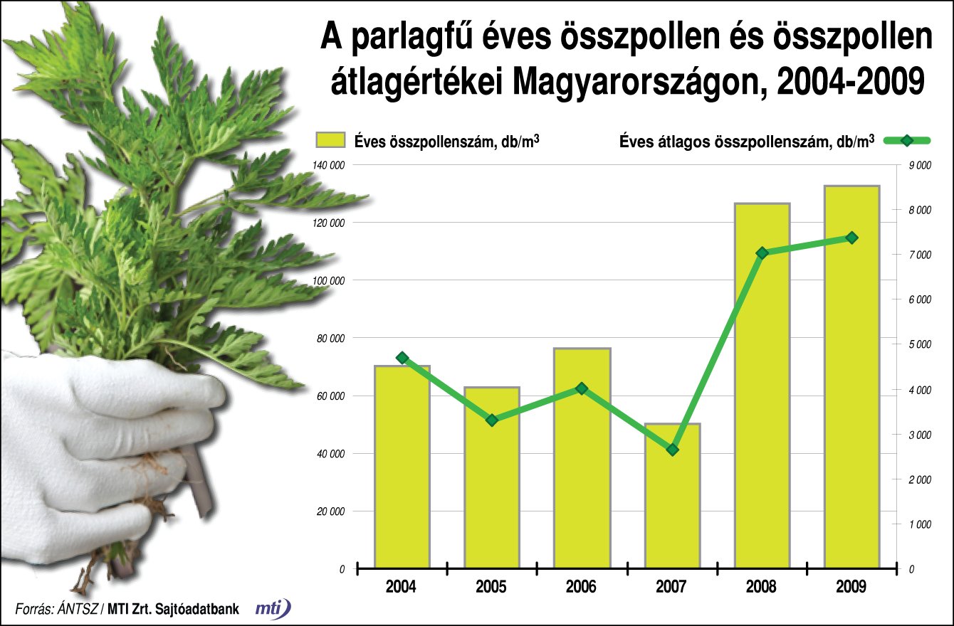 A parlagfű éves összpollen és összpollen átlagértékei Magyarországon
