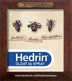 Hedrin fejtetű irtó