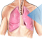 A COPD tünetei