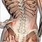 Csontritkulás (oszteoporózis) aloldal