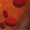Vérképzőszervi daganatok (leukémia, limfóma) aloldal
