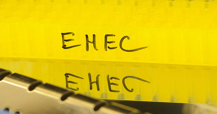 EHEC