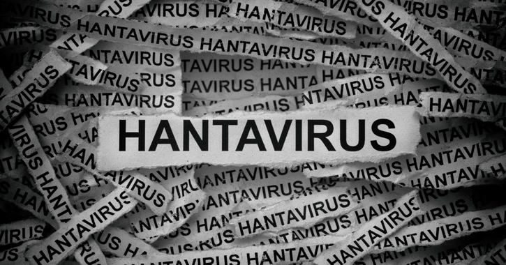 Hantavírus