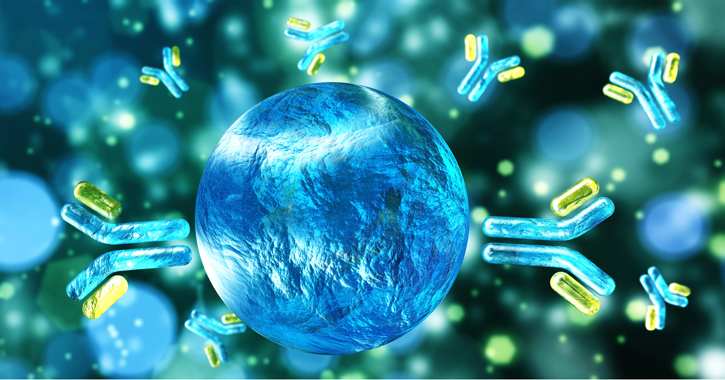 Immunrendszer