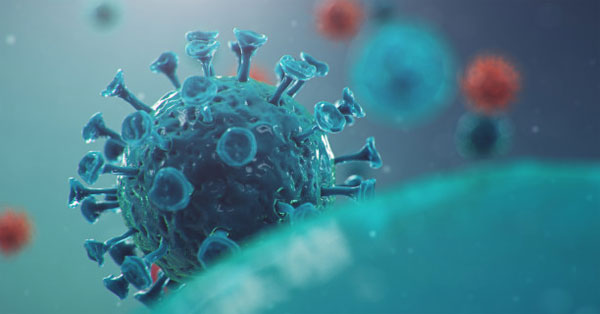 a feleségemnek nincs Trichomonasa