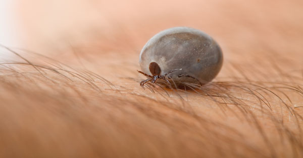 A chlamydia befolyásolja a látást