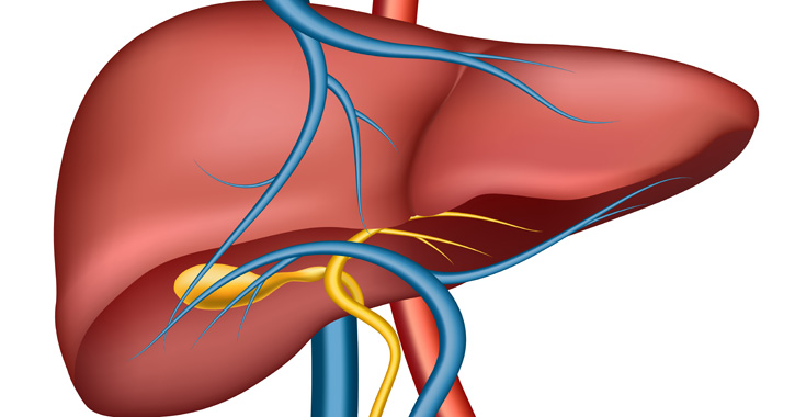 Hepatitis E