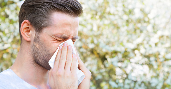 pollenallergia kialakulásának okai