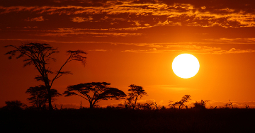 Afrikába utazik? Milyen óvintézkedések szükségesek?