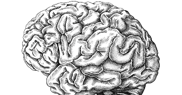 Milyen tényezők növelik a stroke kockázatát?