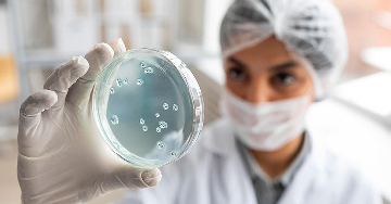 Shigella baktérium okozta fertőzések (shigellózis)