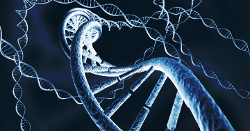 A Saethre-Chotzen-szindróma vagy III. típusú acrocephalosyndactylia