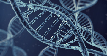 Li-Fraumeni-szindróma