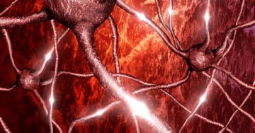 Diabéteszes neuropátia - A hipoglikémia észlelésének zavara