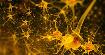 Mi okozhatja az epilepsziás roham kialakulását?