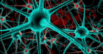 Az epilepsziás roham felismerése - Az epilepszia tünetei