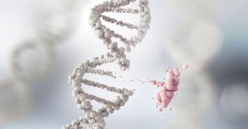Genetikai rendellenességek