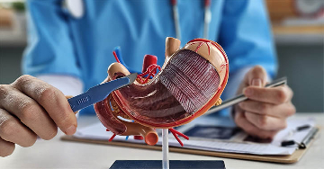 Gyomorrezekció (gyomoreltávolítás)