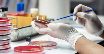 A Helicobacter pylori