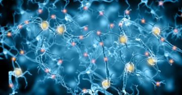 A perifériás neuropátia és tünetei (polineuropátia, mononeuropátia)