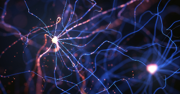 Diabéteszes neuropátia: Mi okozza a panaszokat?