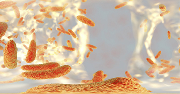 Klebsiella baktérium okozta fertőzések