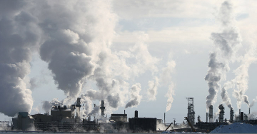 A tiszta levegőnek fura szaga van