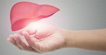 A máj regenerálásának lehetőségei