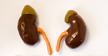 A mellékvesekéreg rosszindulatú elváltozásai