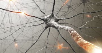 Miért ritkább a sclerosis multiplex a férfiaknál?
