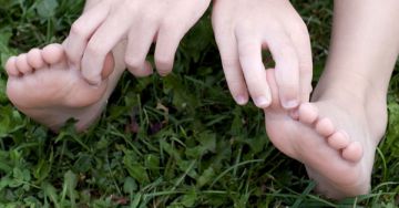 Milyen vizsgálatokra számíthat? A köszvény diagnosztikája