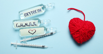 Oxitocin - Miért fontos a szervezet számára?