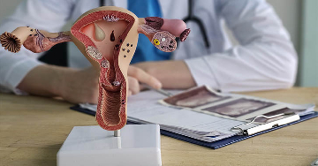 A menopauza kialakulásának hormonális és biológiai háttere