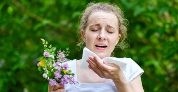 Az allergiaellenes gyógyszerek negatív hatást gyakorolnak az immunrendszerre?