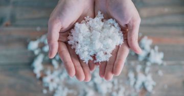 Hidegben elfehéredő ujjak: Raynaud-kór és Raynaud-szindróma