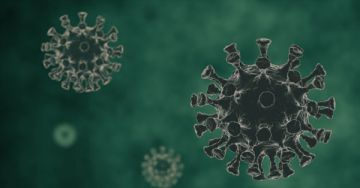 Hogyan lehet megkülönböztetni az allergia és a COVID-19 megbetegedés tüneteit?