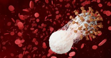 COVID-19: Mégis számolhatunk eleve meglévő immunitással?
