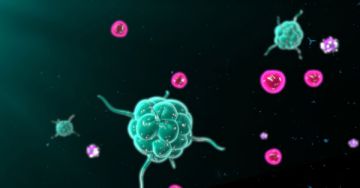 Hogyan reagál immunrendszerünk a különböző kórokozókra?