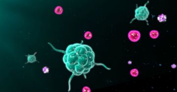 Az enyhe COVID-19 infekciót immunrendszerünk megőrzi emlékezetében