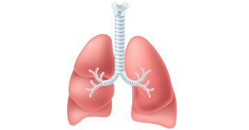 A tüdőrákot a nemdohányzók körében sokszor késői stádiumban fedezik fel