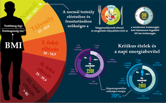 fogyjon 25 testtömeg reishi gomba fogyás vélemények