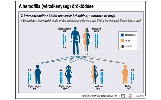 2-es típusú cukorbetegség és öröklődés: milyen összefüggések vannak ?