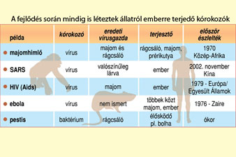 Mi a zoonózis? Hogyan terjed állatról emberre?