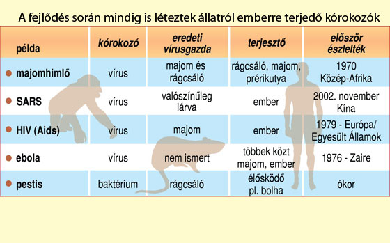 Állati eredetű kórokozók infografika