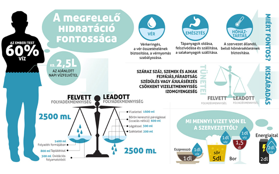 Hidratáció infografika