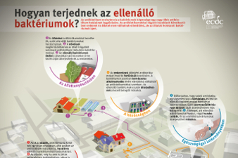 Ellenálló baktériumok és antibiotikum-rezisztencia