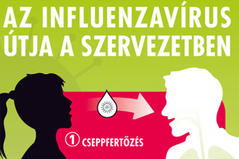 Így terjed az influenza