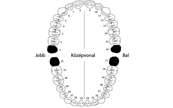 fogsor szájszag